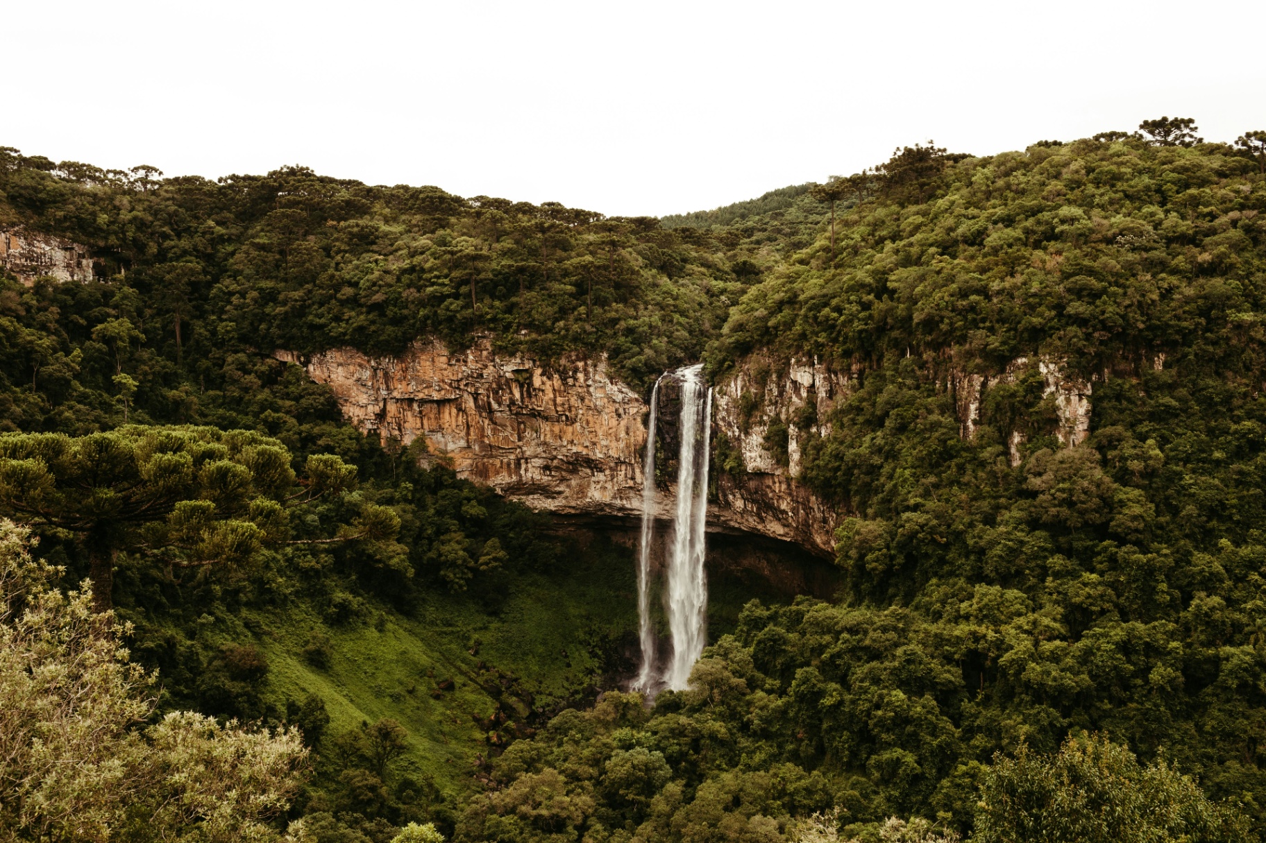 Forest bathing & Meru crater — Arusha National Park