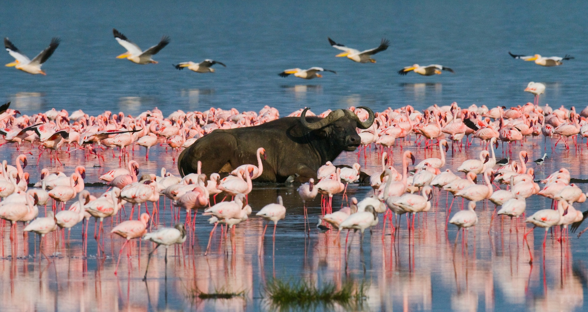 All of the senses — Mto wa Mbu · Lake Manyara